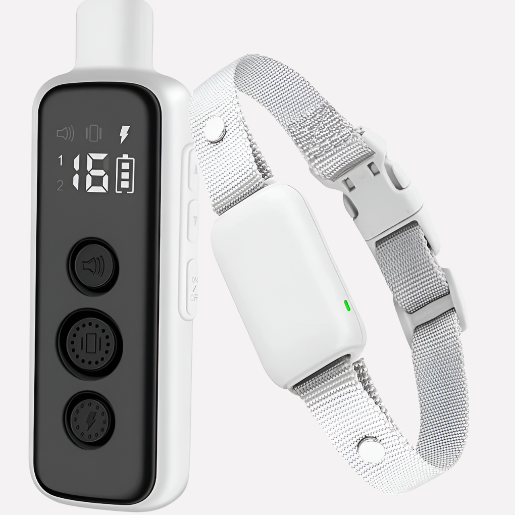 Dog Training Collar with Remote
