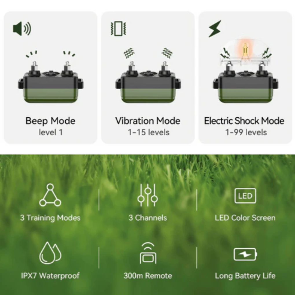 Smart Training Collar & Remote 300 m Range