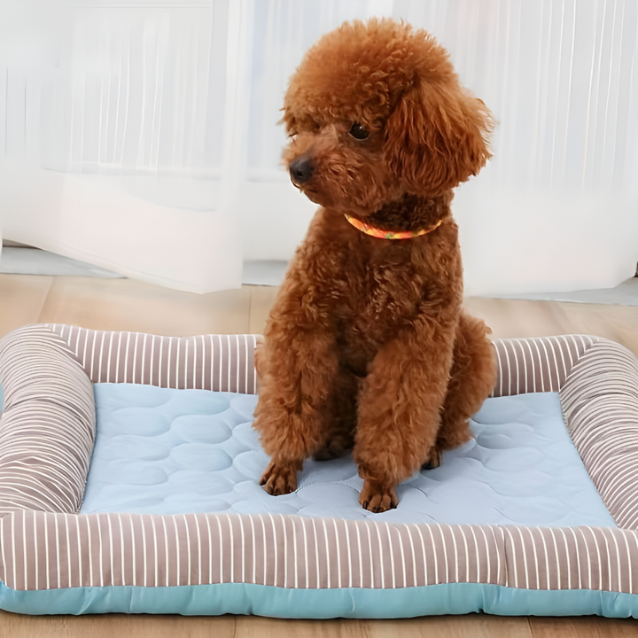 ChillRest Cooling Dog Mat – Comfort & Support for Hot Days