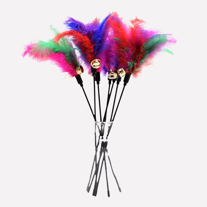 Funny Kitten Teaser Wand