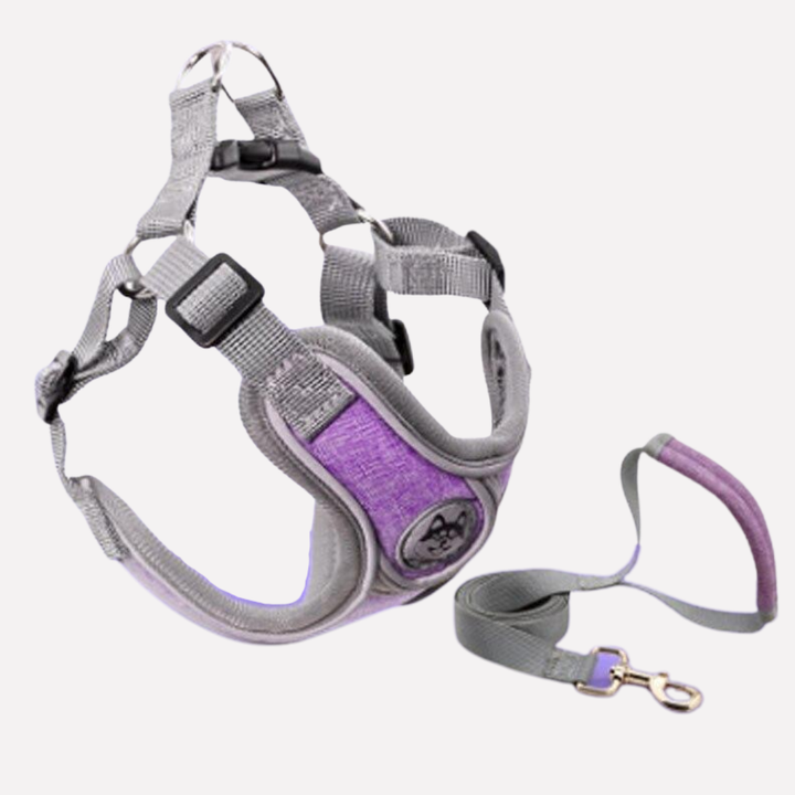 Dog Harness Set Adjustable Vest with Leash