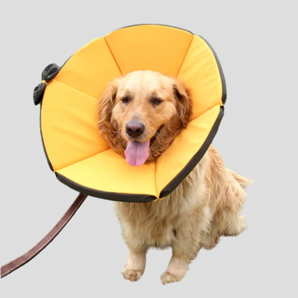 Soft Protective Collar for Dogs
