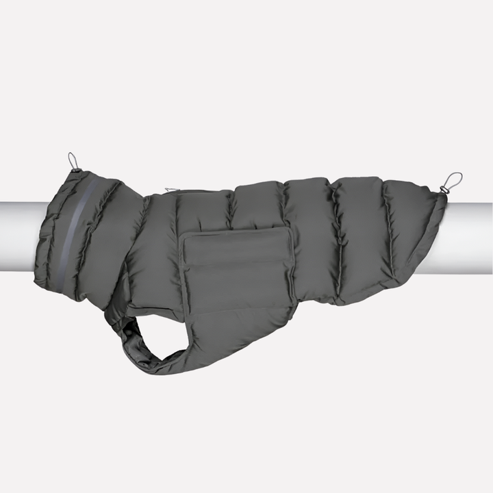 Dog Vest – Weather‑Ready Warmth for Winter