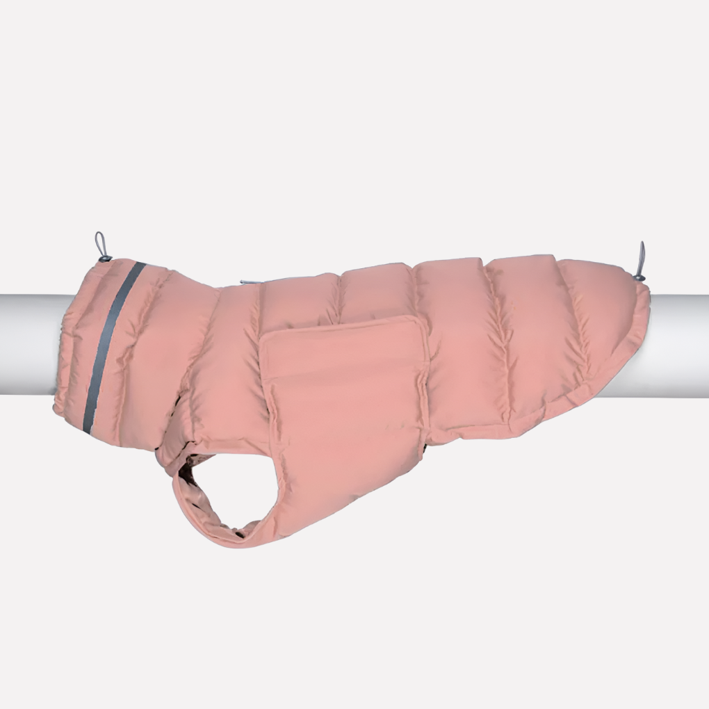 Dog Vest – Weather‑Ready Warmth for Winter