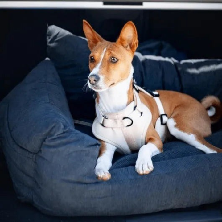 Calming Dog & Cat Bed Fluffy Plush Washable Comfort