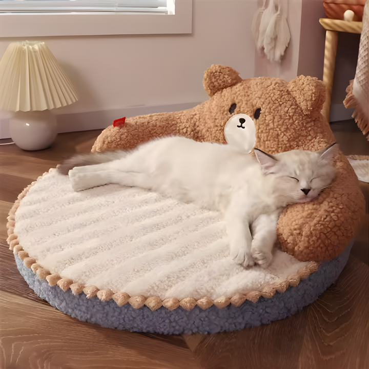 Cute Bed for Small Cats