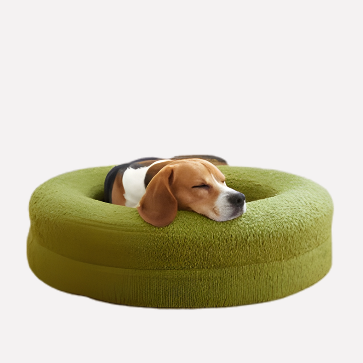 Washable Orthopedic Dog Bed