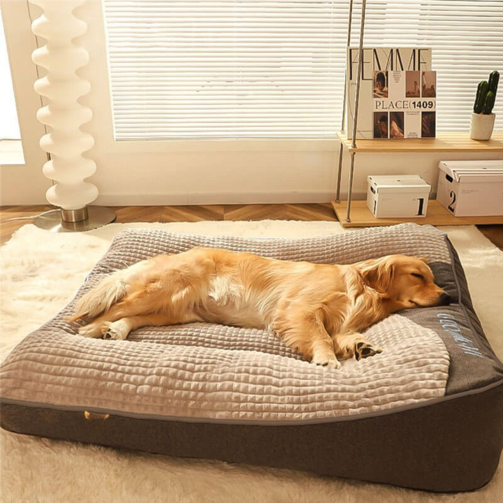 Orthopaedic Scratch-Resistant Dog Cushion Bed with Spine Support