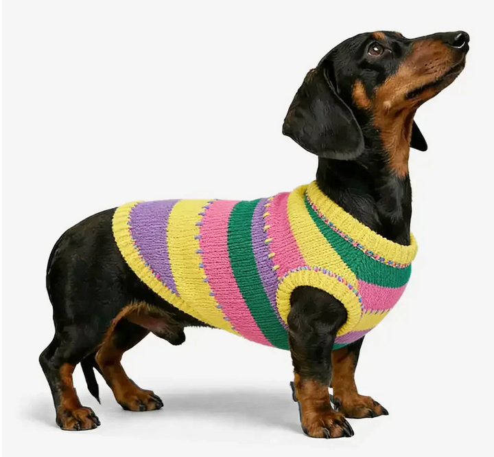 Color-Blocked Striped Sleeveless Dog Jumper