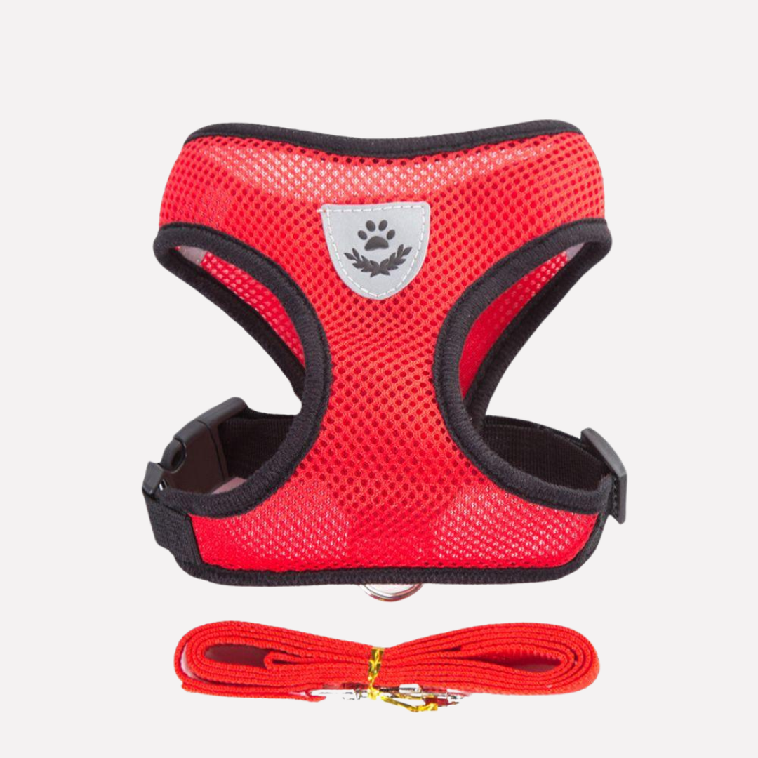 Breathable Mesh Puppy Harness Set