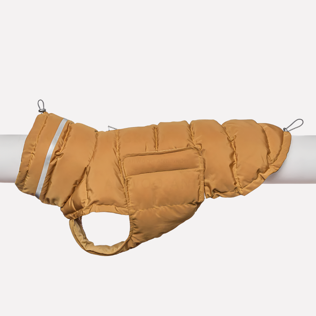 Dog Vest – Weather‑Ready Warmth for Winter