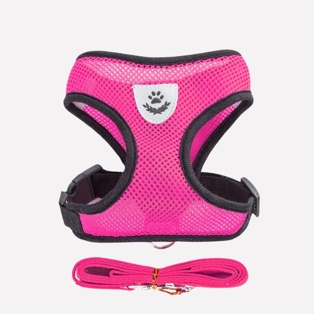 Breathable Mesh Puppy Harness Set