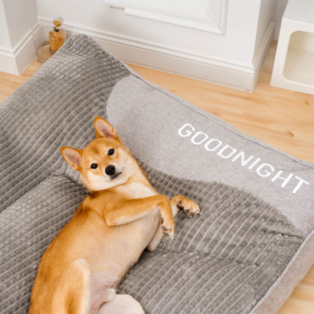 Orthopaedic Scratch-Resistant Dog Cushion Bed with Spine Support