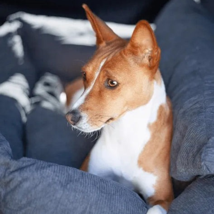 Calming Dog & Cat Bed Fluffy Plush Washable Comfort