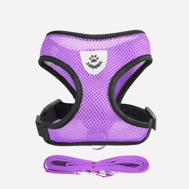 Breathable Mesh Puppy Harness Set