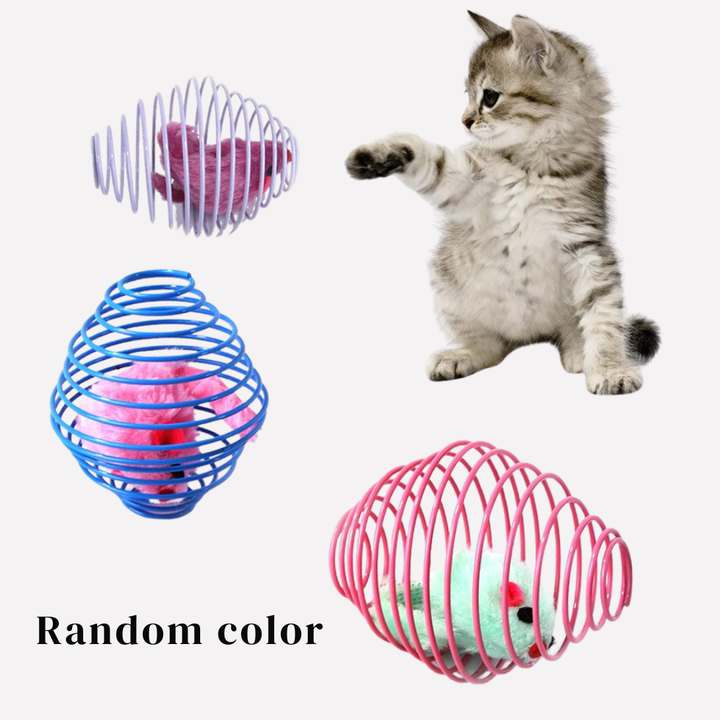 Kitten Spring Toy Balls