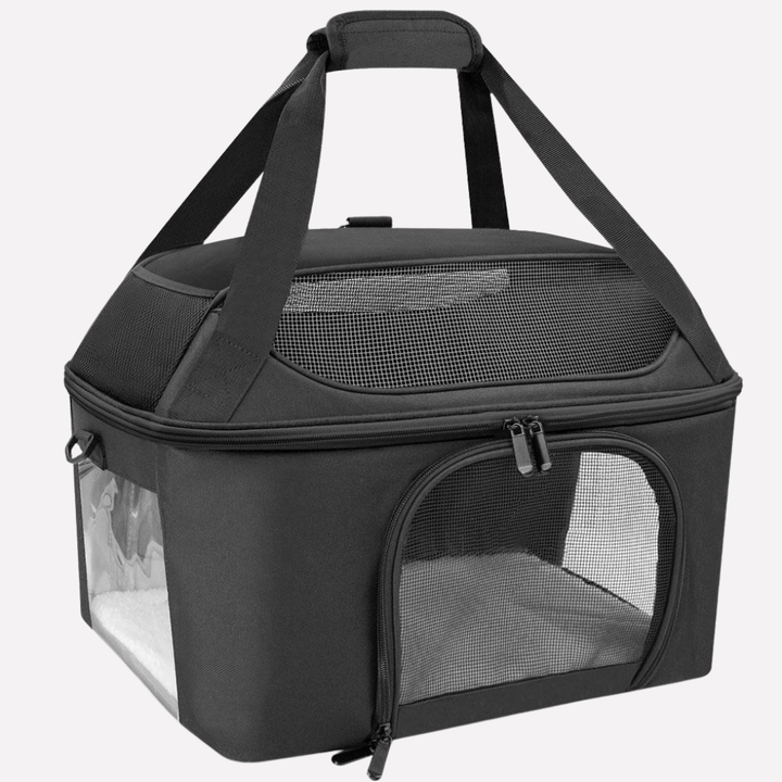 Pet Backpack for Outdoor Travel