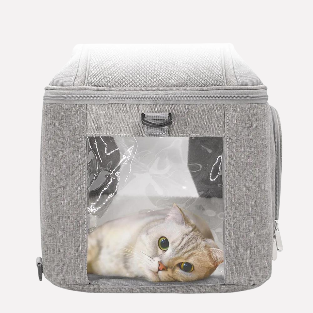 Pet Backpack for Outdoor Travel