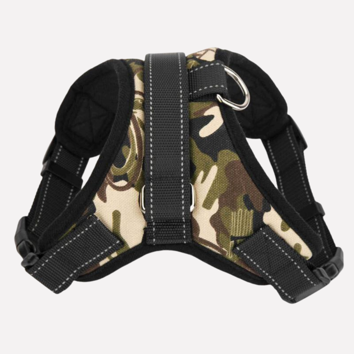 Pets Collar & Lead Set