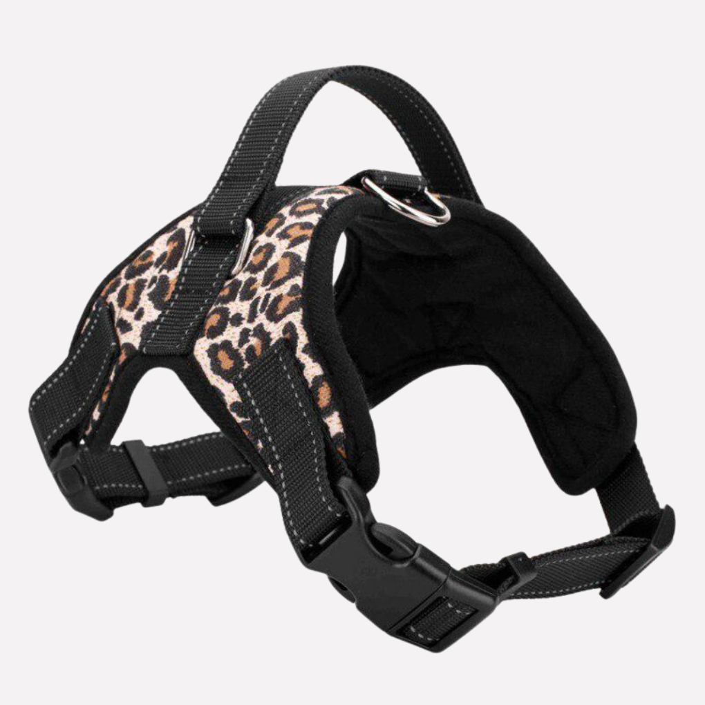 Pets Collar & Lead Set