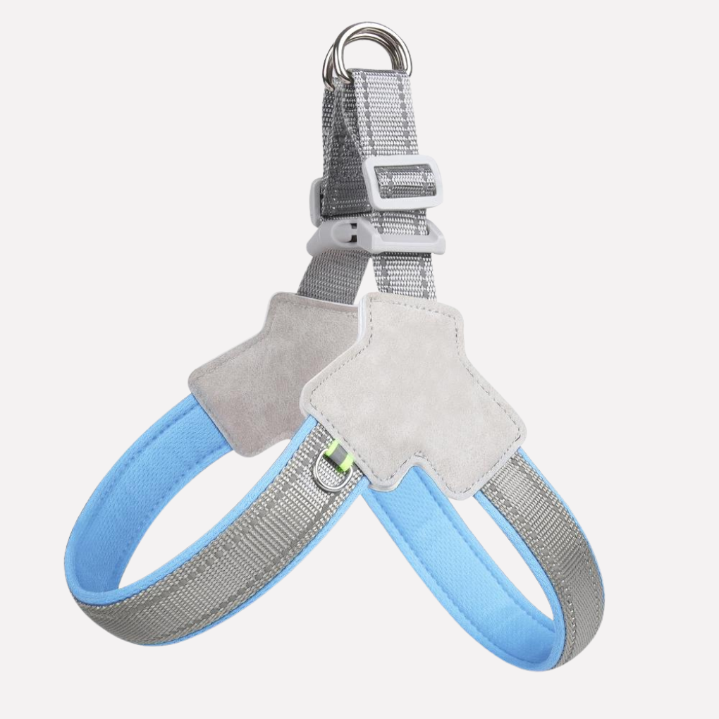 Dog Harness – No-Pull Design for Walking and Travel