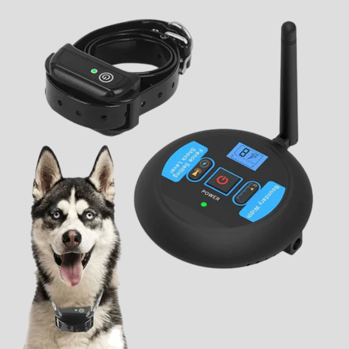 Wireless Dog Fence Collar – 200m Range System