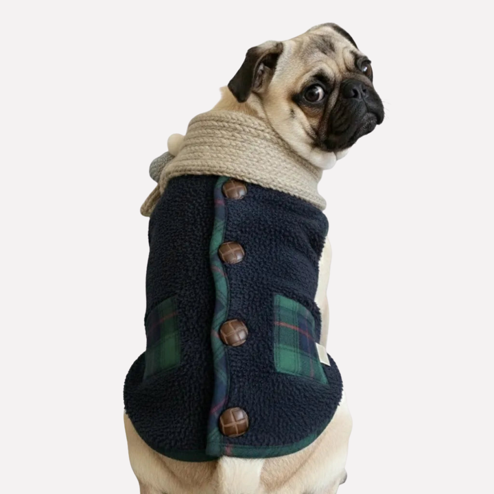 Plaid Winter Dog Jacket with Scarf