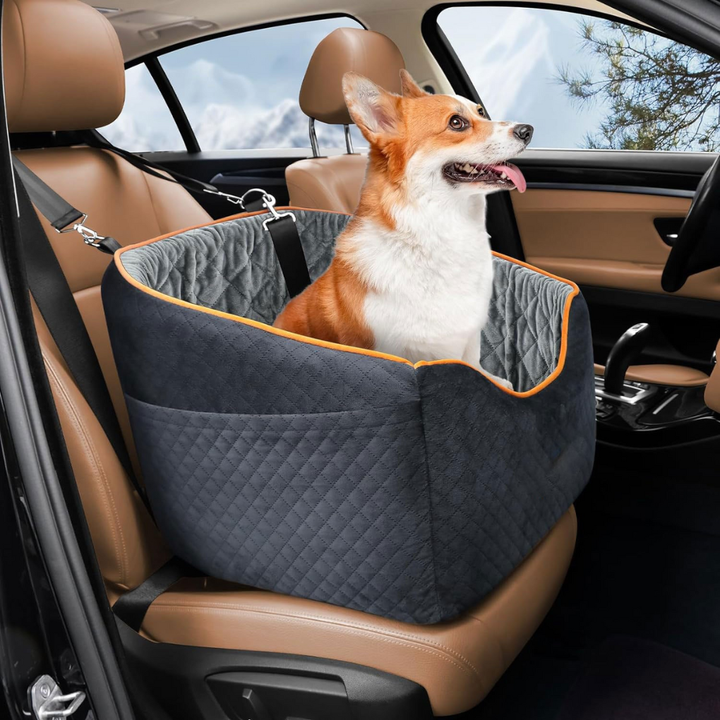 Elevated Dog Car Booster Seat