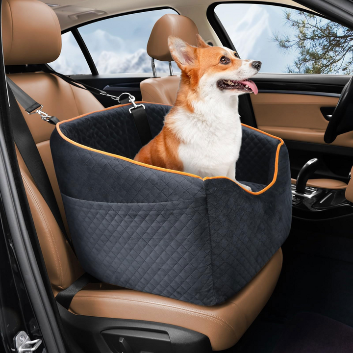 Elevated Dog Car Booster Seat