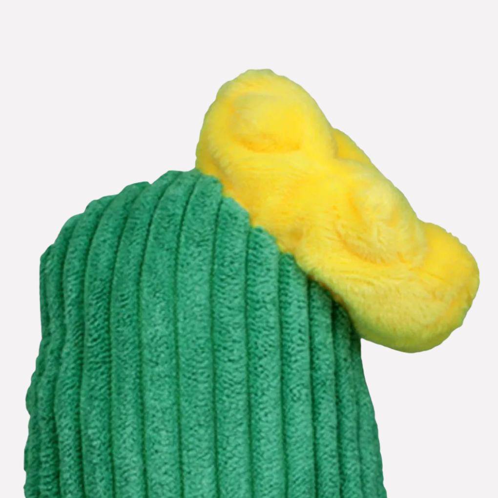 Green Cactus Dog Toy
