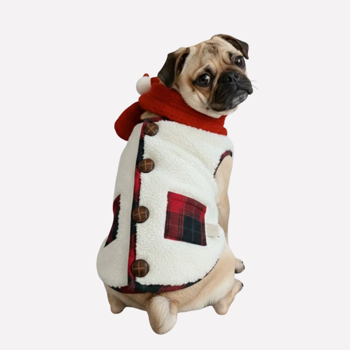 Plaid Winter Dog Jacket with Scarf