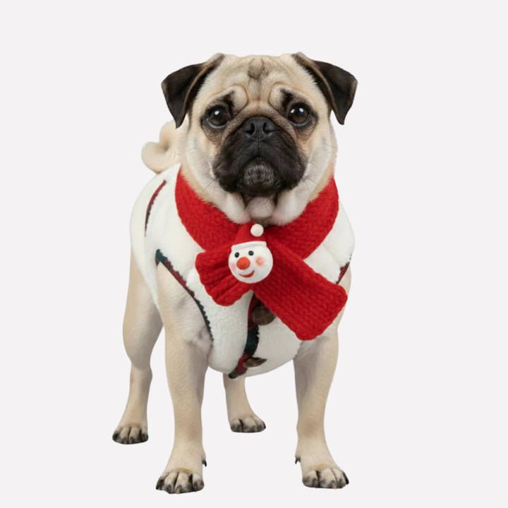 Plaid Winter Dog Jacket with Scarf
