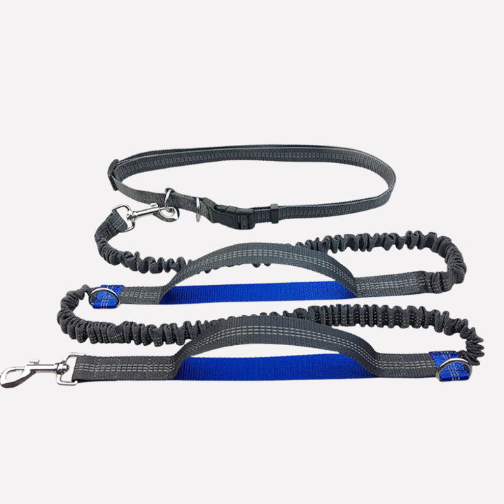 Hands‑Free Dog Running Leash