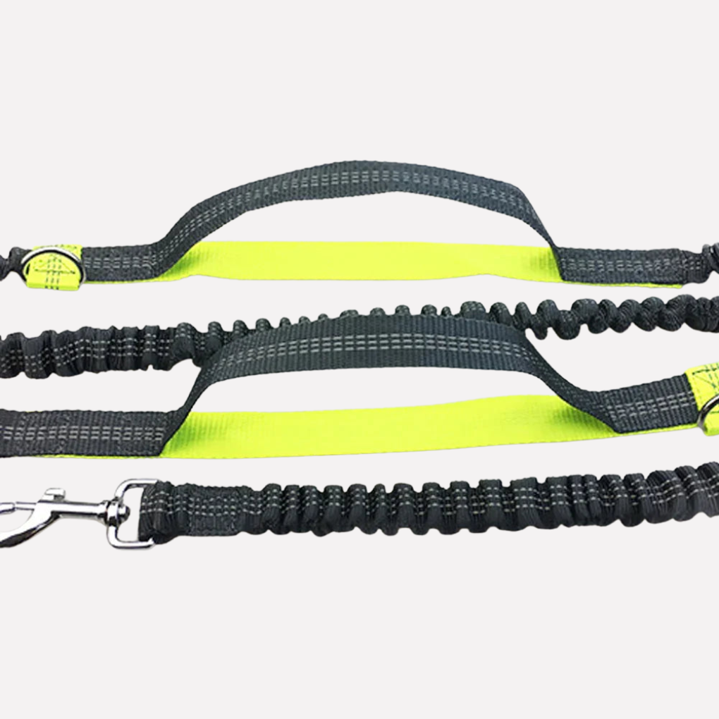 Hands‑Free Dog Running Leash