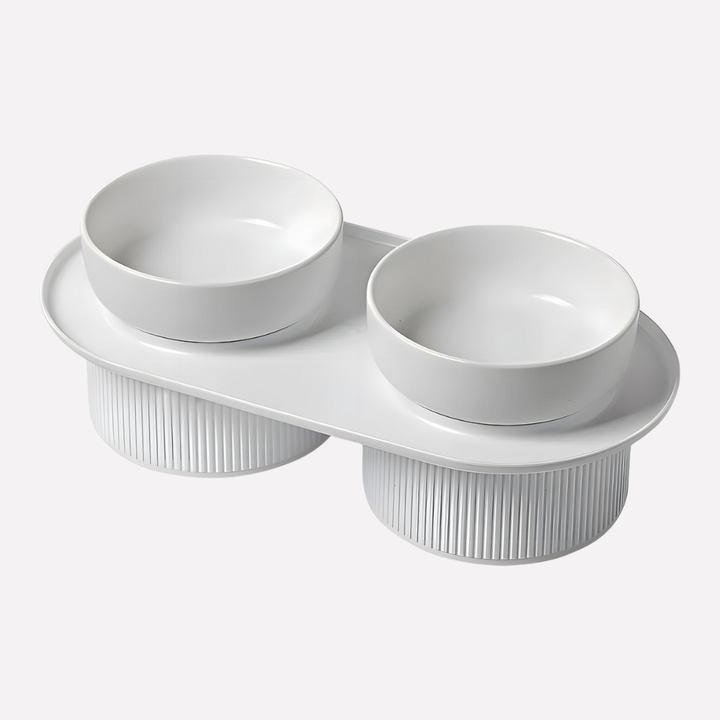 Elevated Ceramic Feeding Bowl