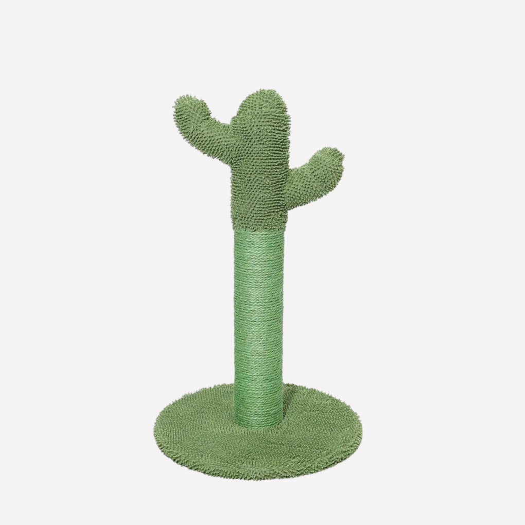 Cat Scratcher Post Cactus