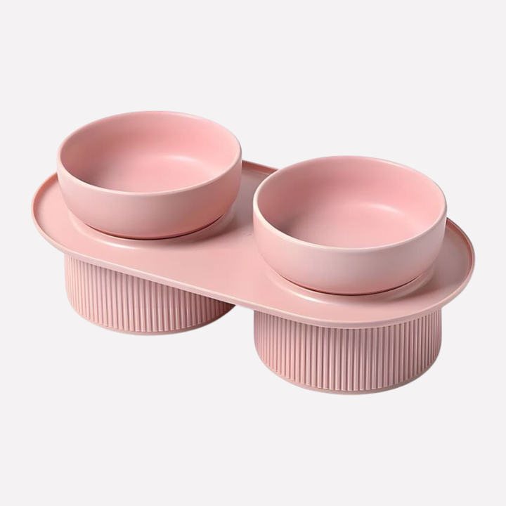Elevated Ceramic Feeding Bowl