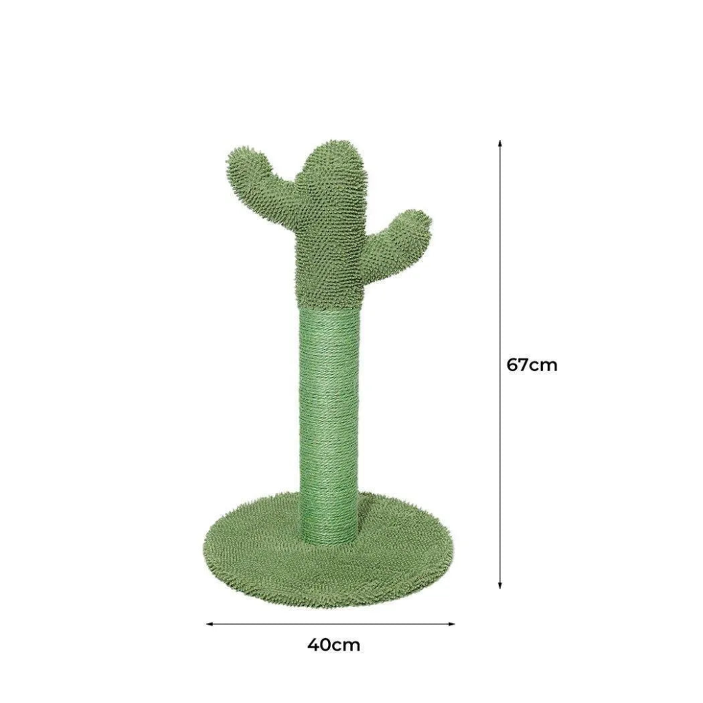 Cat Scratcher Post Cactus