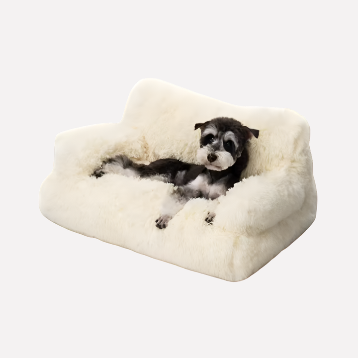 Elevated Dog Bed Washable Bench for Small Pets