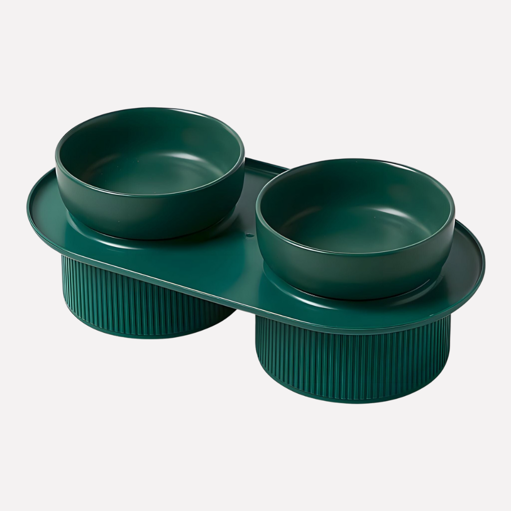 Elevated Ceramic Feeding Bowl