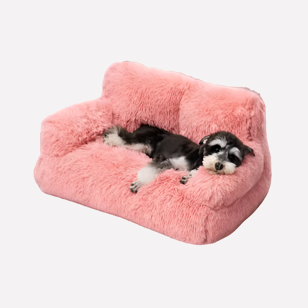 Elevated Dog Bed Washable Bench for Small Pets