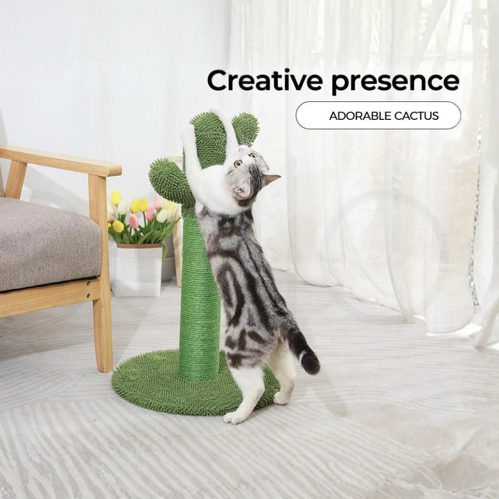 Cat Scratcher Post Cactus