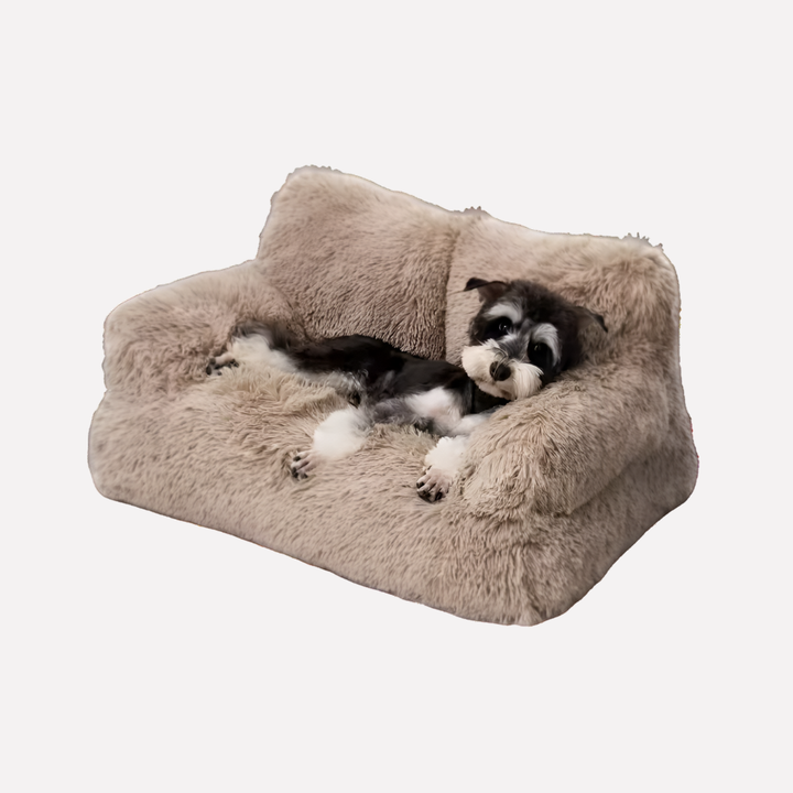 Elevated Dog Bed Washable Bench for Small Pets