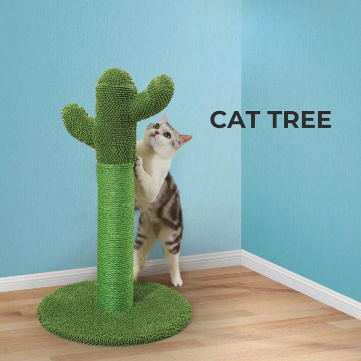 Cat Scratcher Post Cactus
