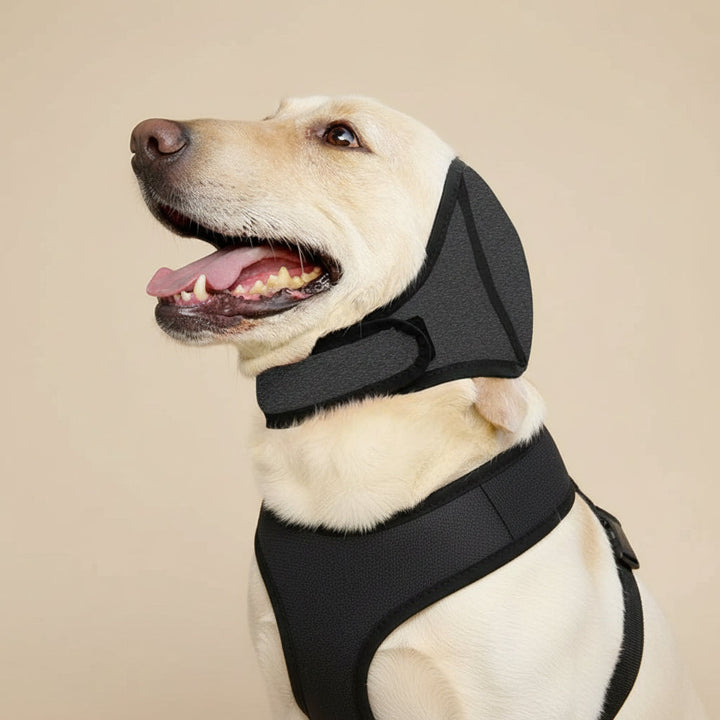 Noise-Reducing Dog Ear Protection for Anxiety, Travel & Grooming