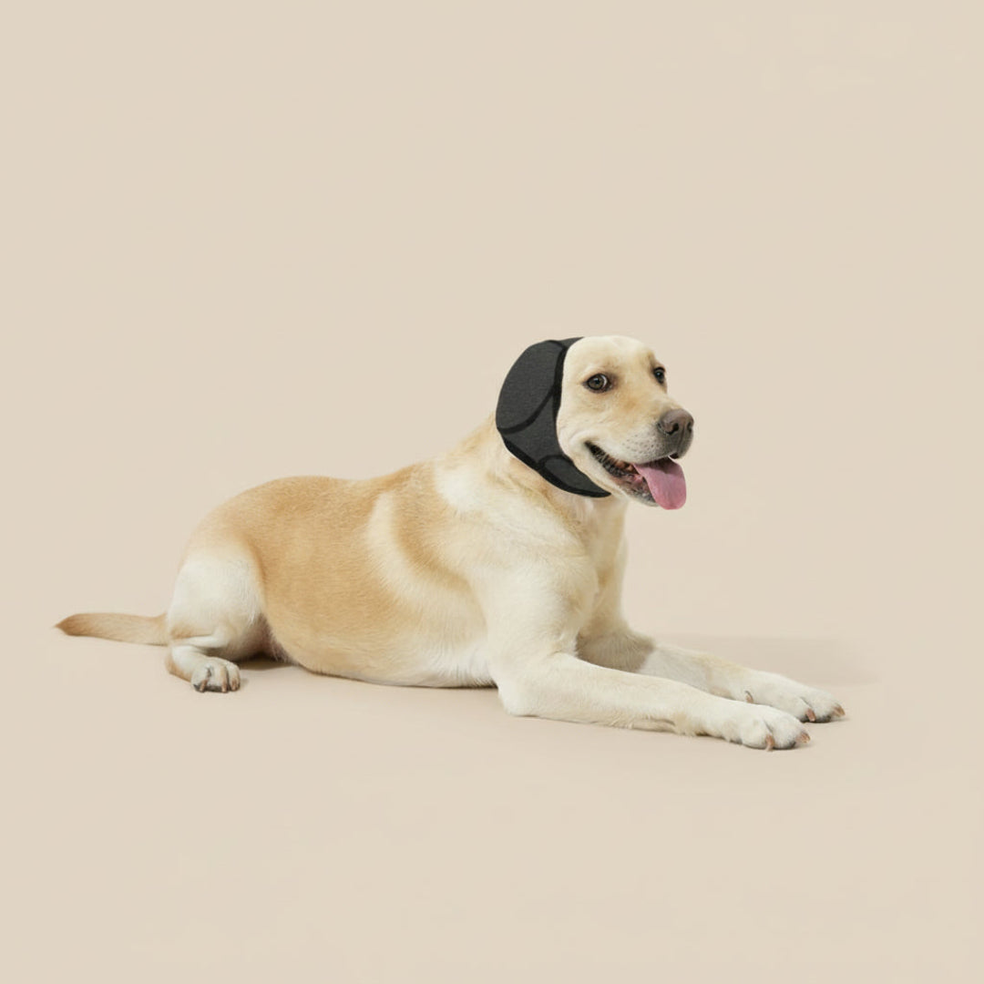 Noise-Reducing Dog Ear Protection for Anxiety, Travel & Grooming