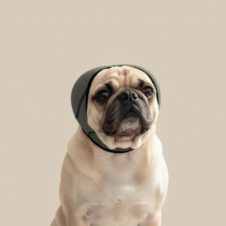 Noise-Reducing Dog Ear Protection for Anxiety, Travel & Grooming