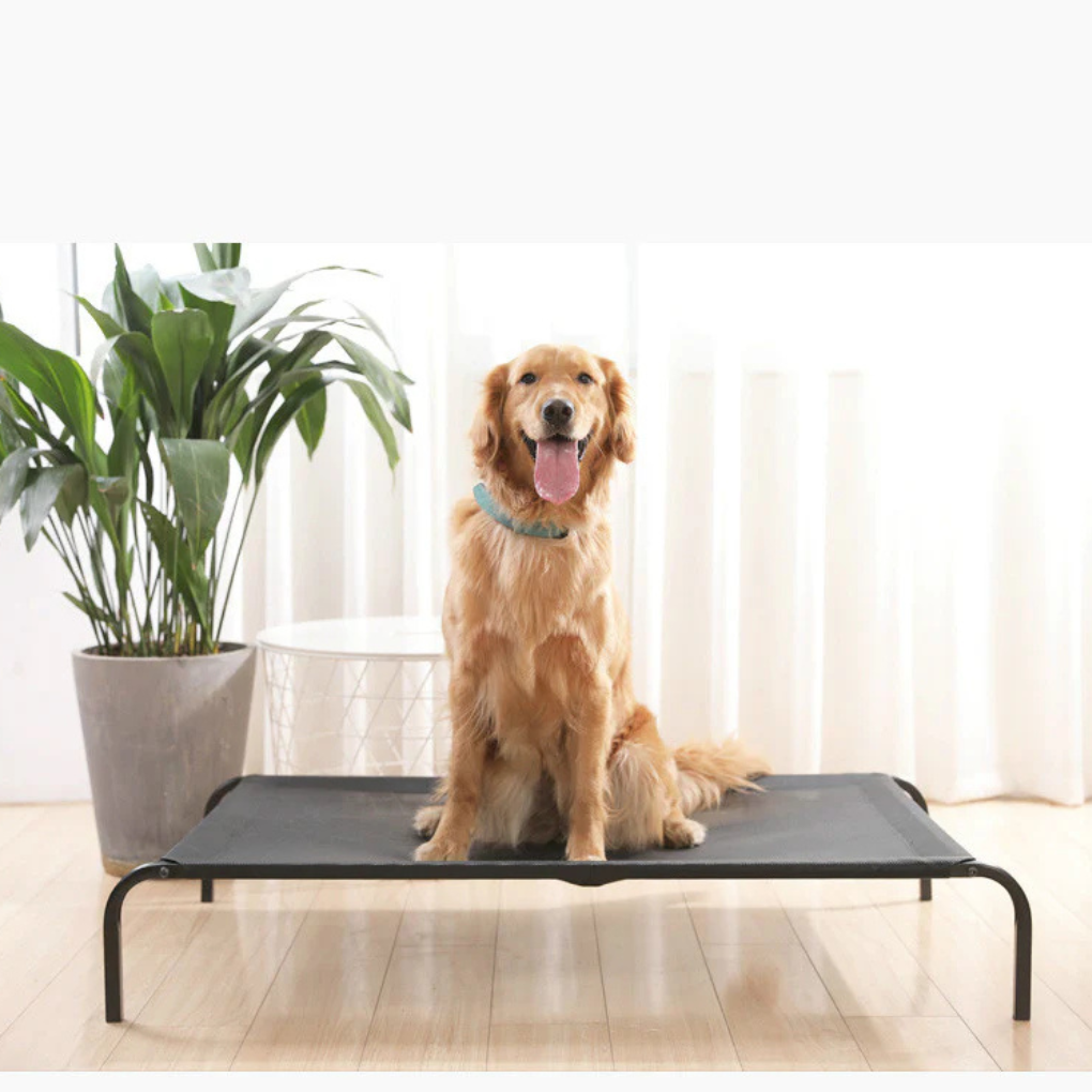 Removable & Washable Pet Bed