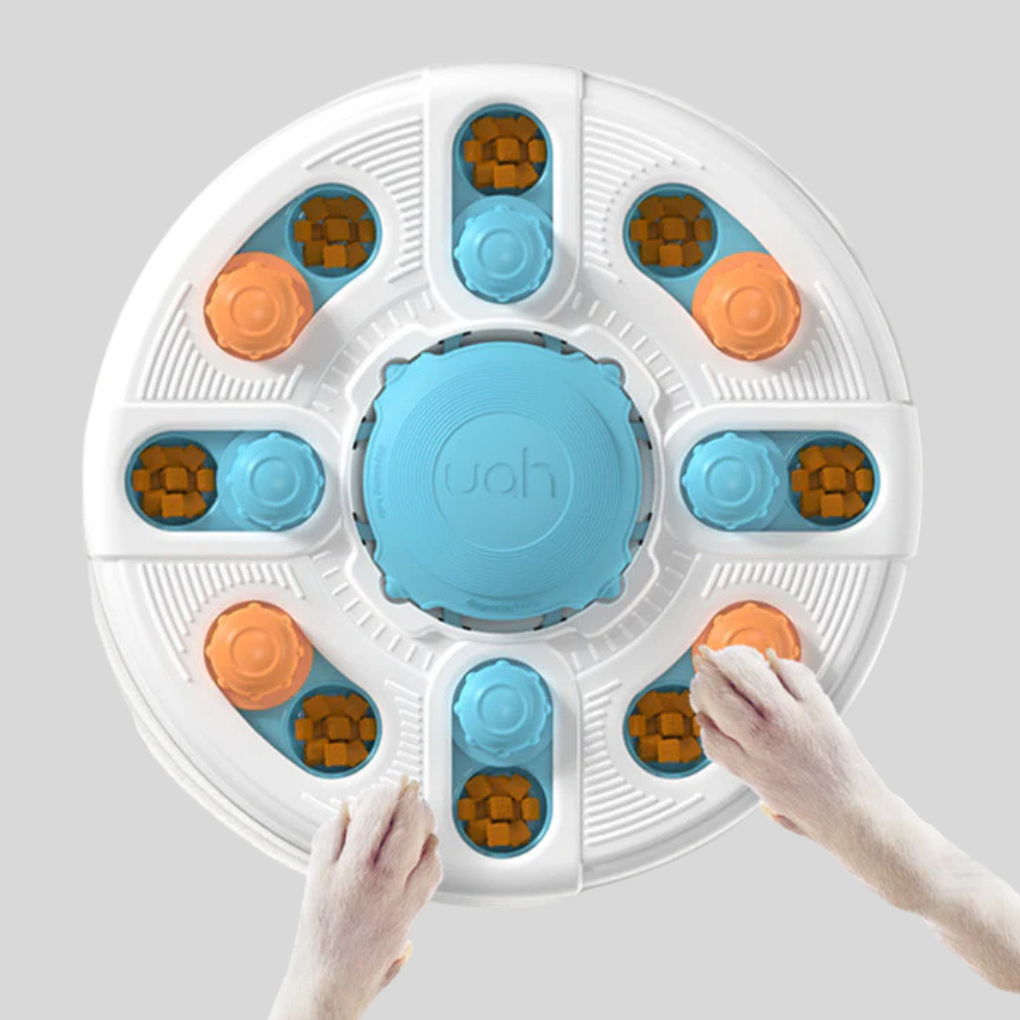 Puzzle Sniffing Training Toys