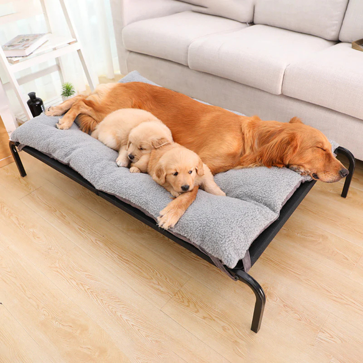 Removable & Washable Pet Bed